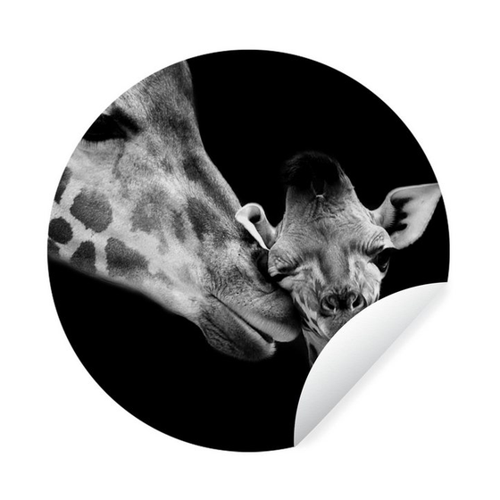 Bild von MuchoWow Wandsticker Tiere - Schwarz - Weiß - Giraffe - Porträt