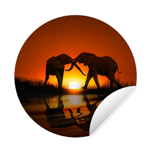 Bild von MuchoWow Wandsticker Elefant - Sonne - Afrika (1 St)