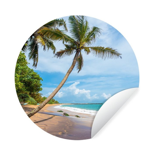 Bild von MuchoWow Wandsticker Palme - Strand - Meer
