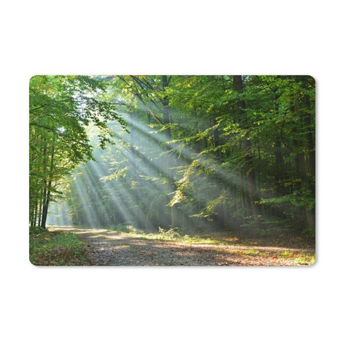 Bild von MuchoWow Gaming Mauspad Frühling - Wald - Baum