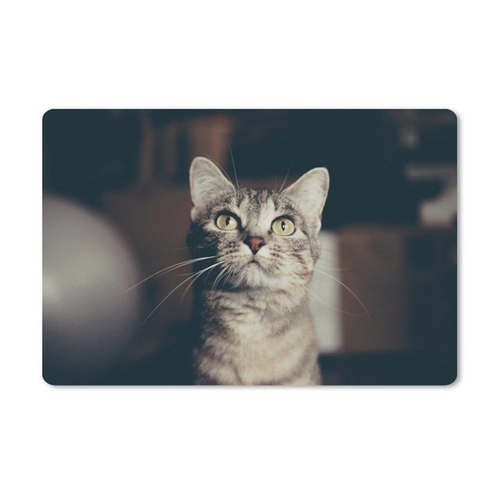 Bild von MuchoWow Gaming Mauspad Katze - Ein Must-Have für Gaming und Büro