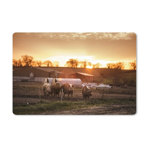 Bild von MuchoWow Gaming Mauspad Bauernhof - Sonne - Schwein