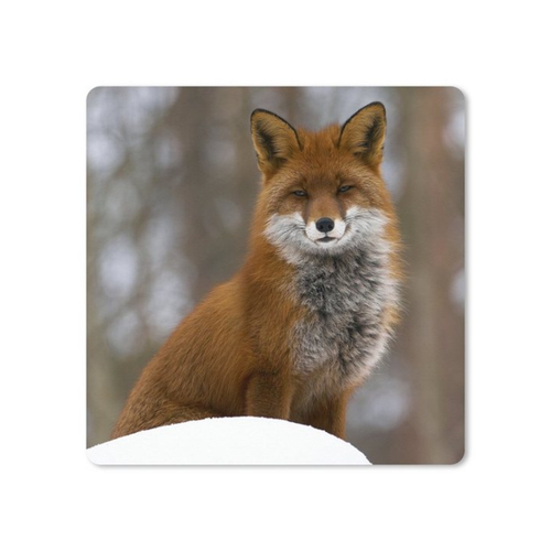 Bild von MuchoWow Gaming Mauspad Fuchs – Wald – Rot