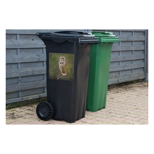 Bild von MuchoWow Wandsticker Braune Eule auf einem dünnen Ast