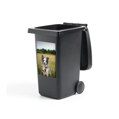 Bild von MuchoWow Wandsticker Border Collie im Gras liegend