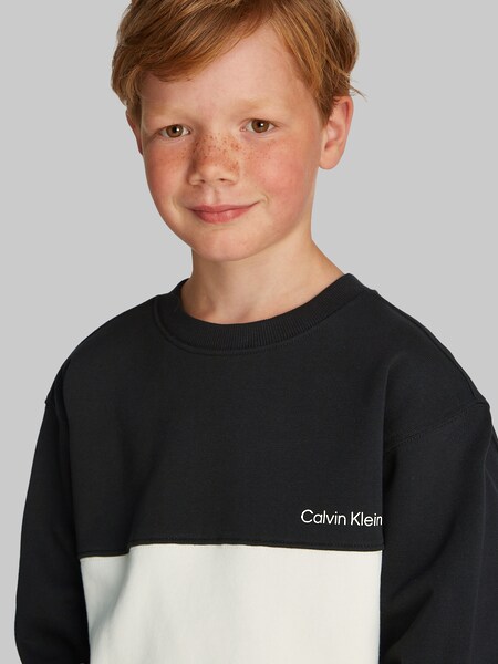 Bild von Calvin Klein Jeans Sweatshirt »COLOR BLOCK TERRY CN«, im Colorblock-Design