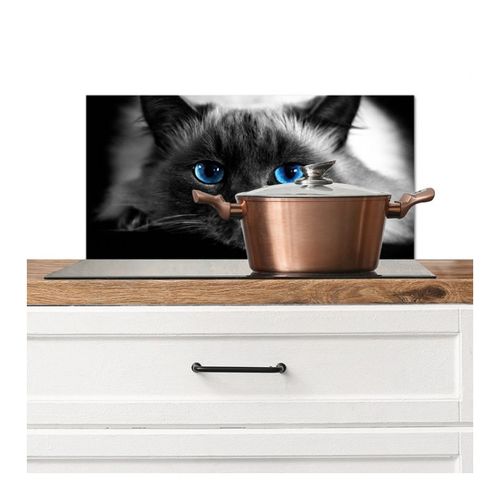 Bild von MuchoWow Küchenrückwand Katze - Augen - Grau - Blau, (1-tlg) - Spritzschutz für die Küche