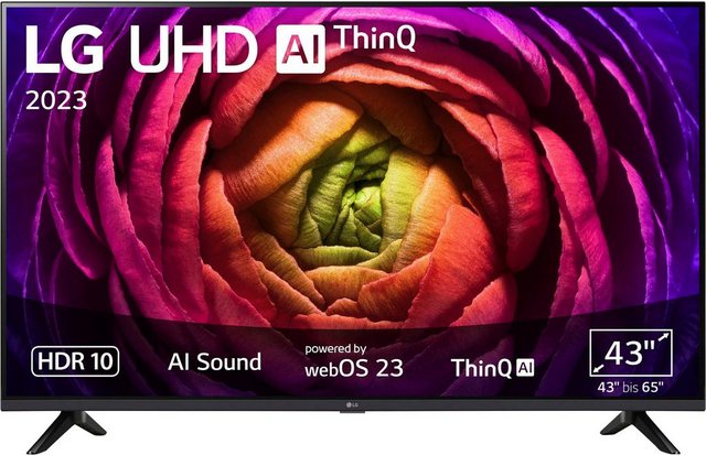 Bild von LG 43UR73006LA LCD-LED Fernseher (108 cm/43 Zoll, 4K Ultra HD, Smart-TV, UHD,α5 Gen6 4K AI-Prozessor,Direct LED,AI Sound,WebOS 23)