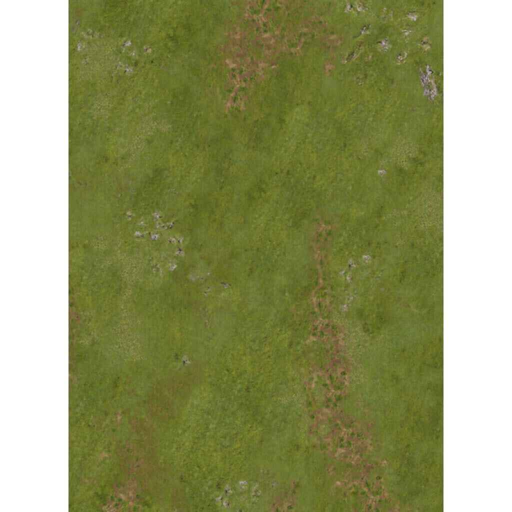 Bild von Highlands in War and Sands of Time 44x60