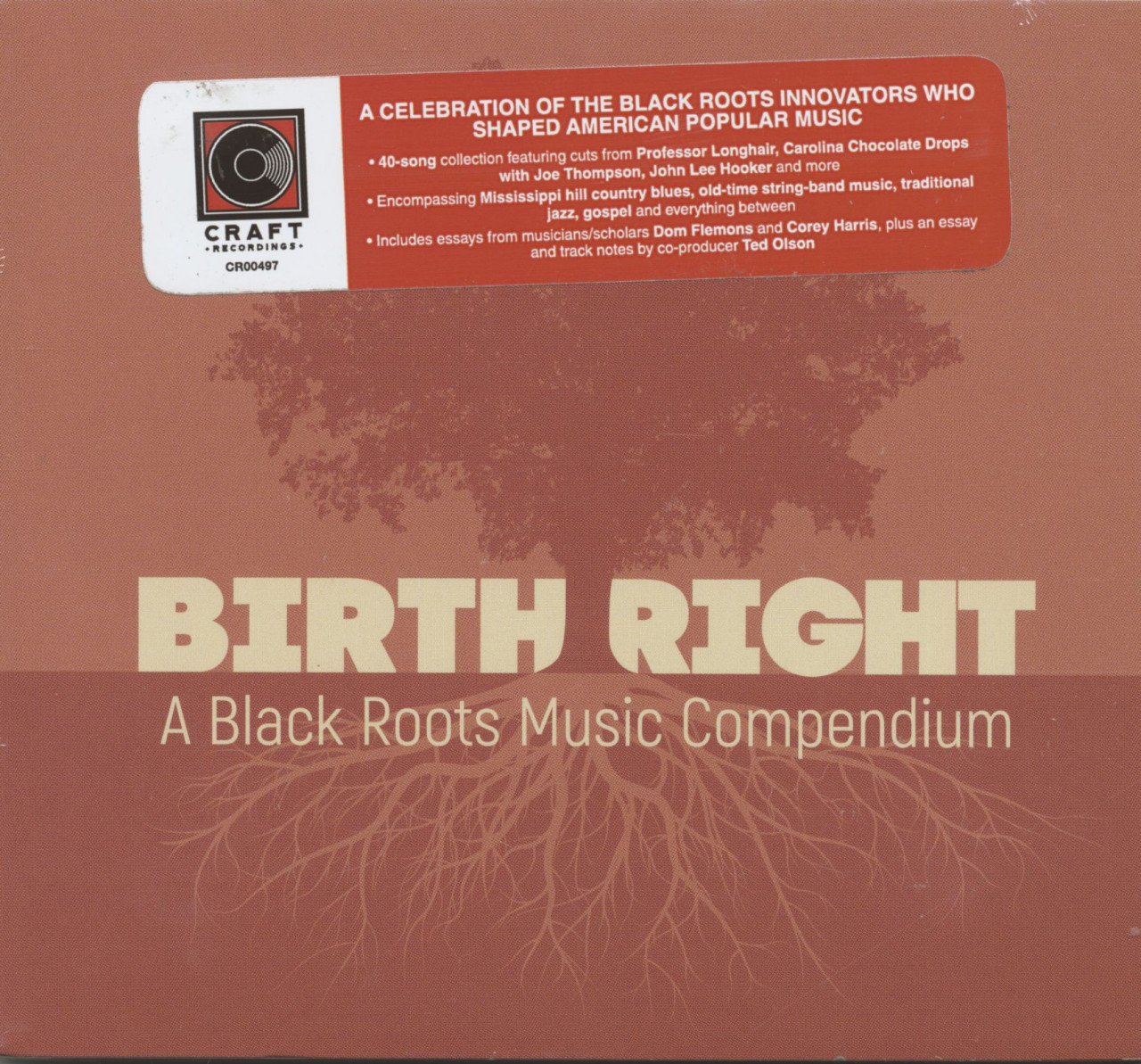 Bild von Various - Birthright - A Black Roots Music Compendium (2-CD)