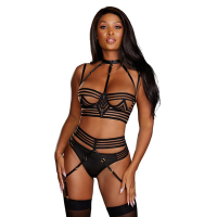 Bild von Sheer Striped Bra, Garter Belt and G-String Set - XL - Black