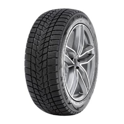 Bild von Winterreifen Radar Dimax Alpine 255/35 R19 96V