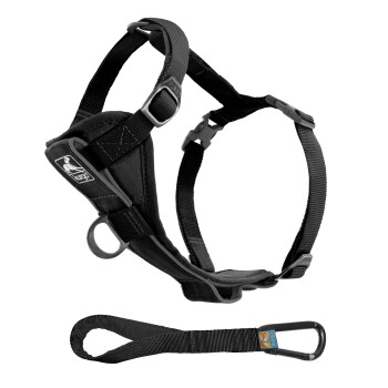Bild von Kurgo Tru-Fit Smart Hundegeschirr M