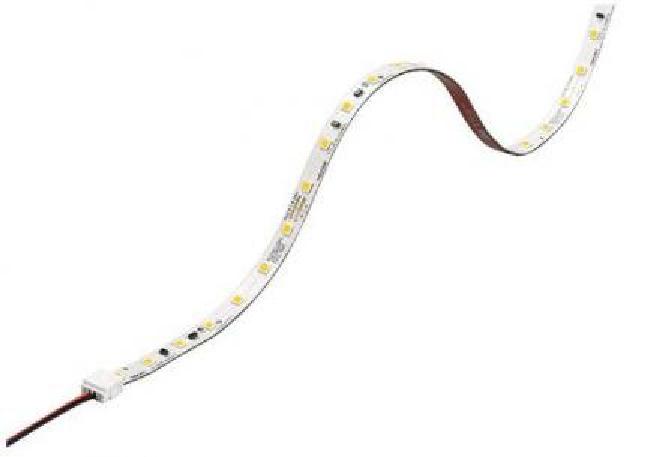 Bild von Tridonic LED-Tape LLE FLEX G2 8x4800 4W-600lm/m 830 ADV (4,8m Rolle) - 28001900