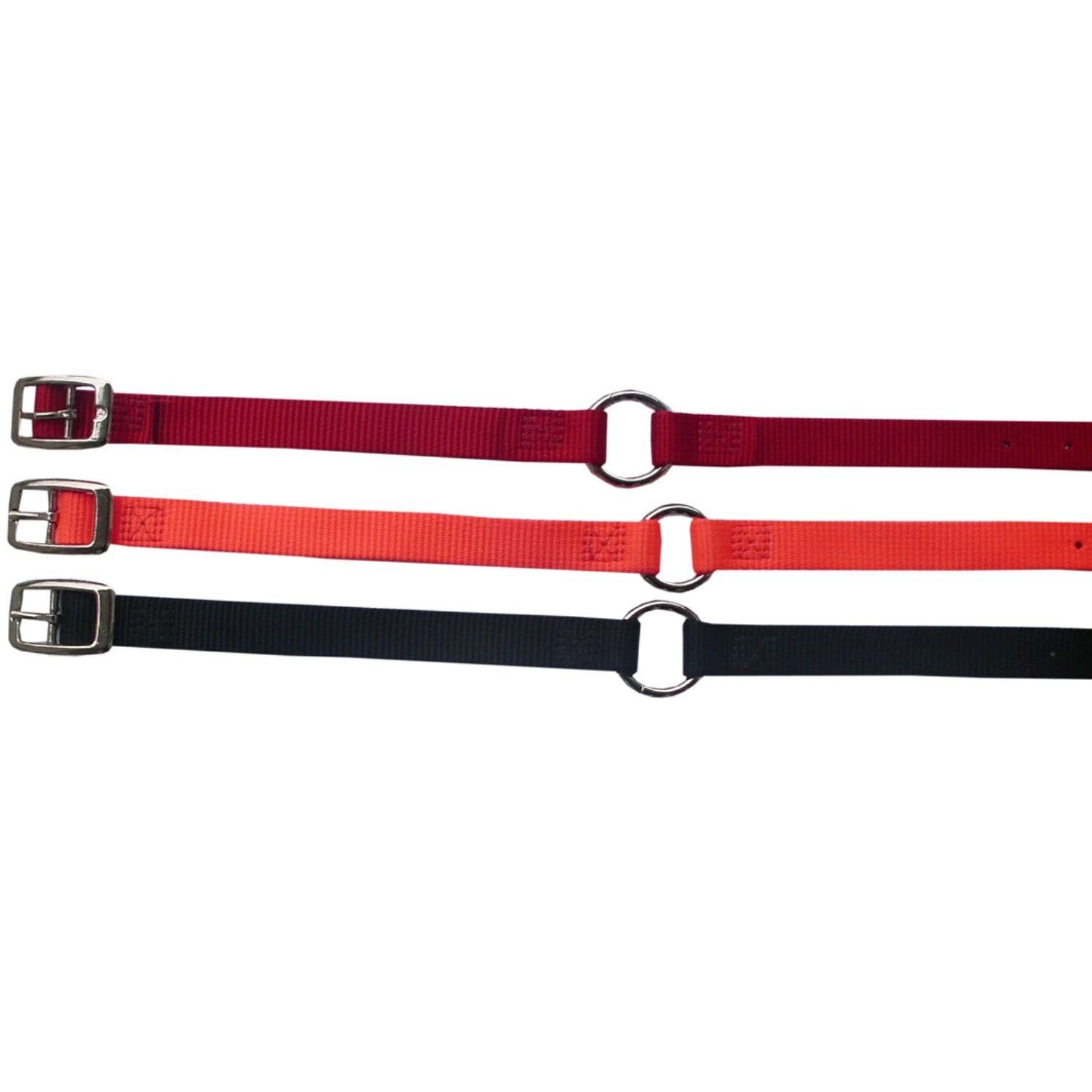 Bild von Weaver Hundehalsband Hunt & Sport Plus Premium Geschirrleder, 2,5 cm breit
