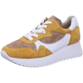 Bild von Paul Green  Halbschuhe Schnuerschuhe