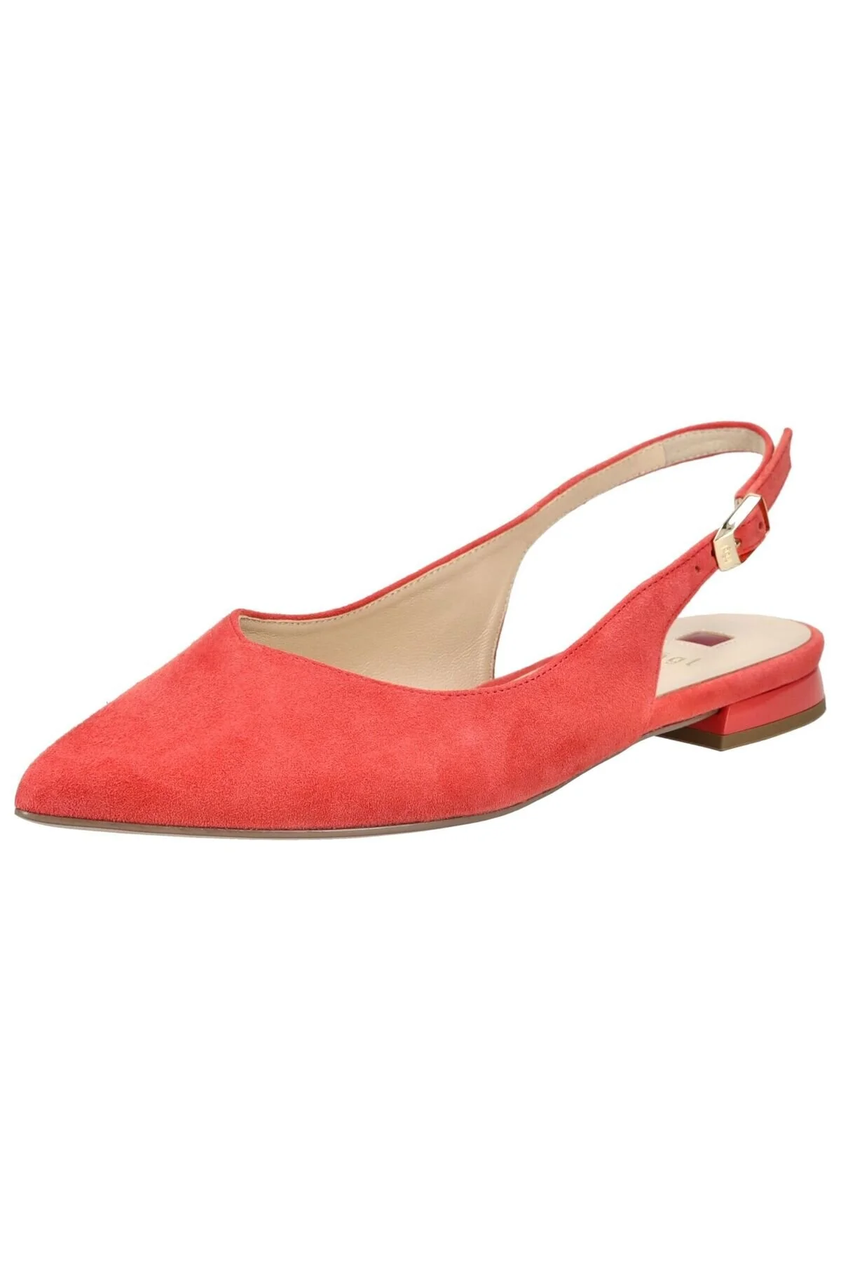 Bild von HÖGL Ballerinas für Damen - 39