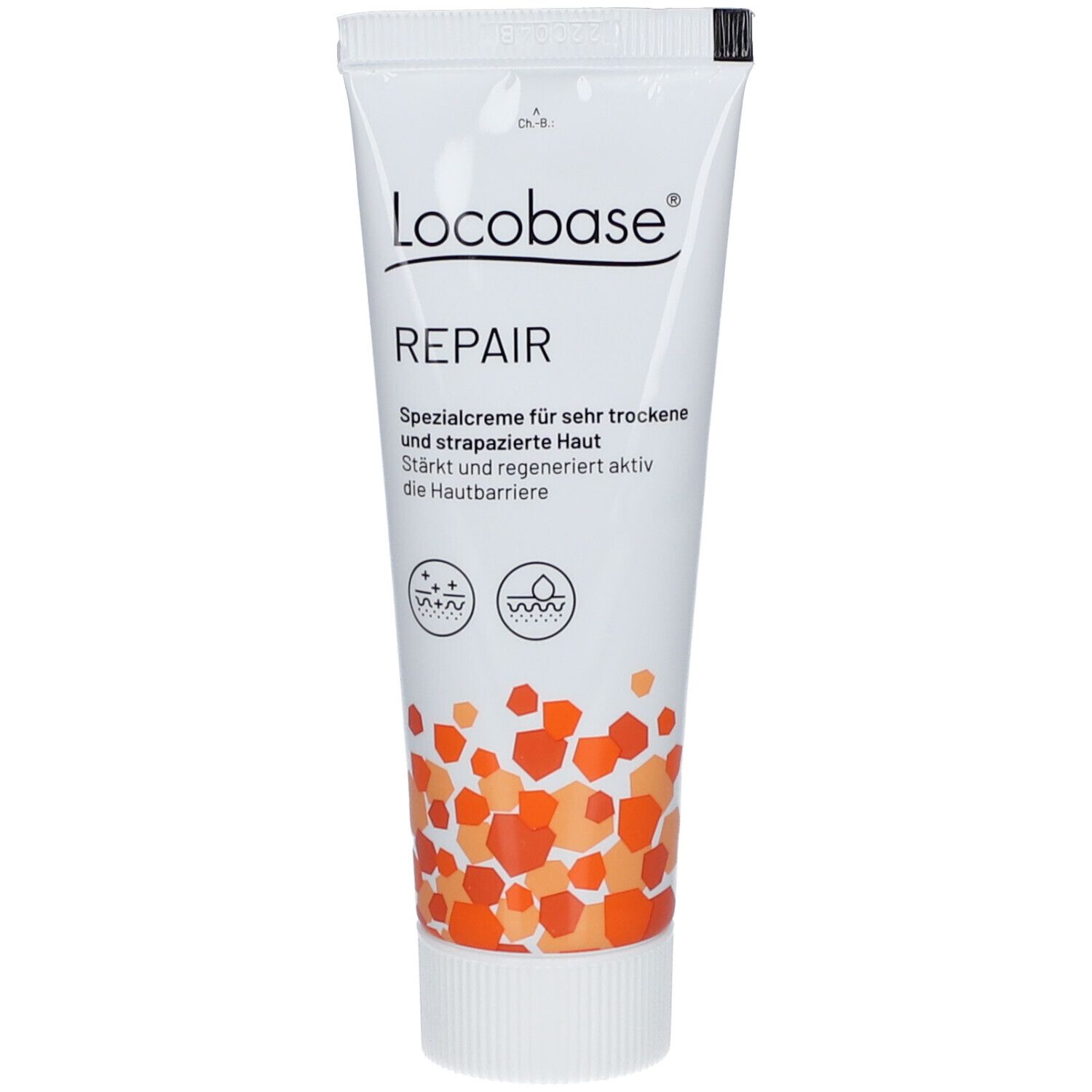 Bild von Locobase® REPAIR