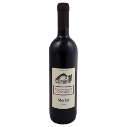 Bild von Merlot Weinviertel Schleinzer QW 2020