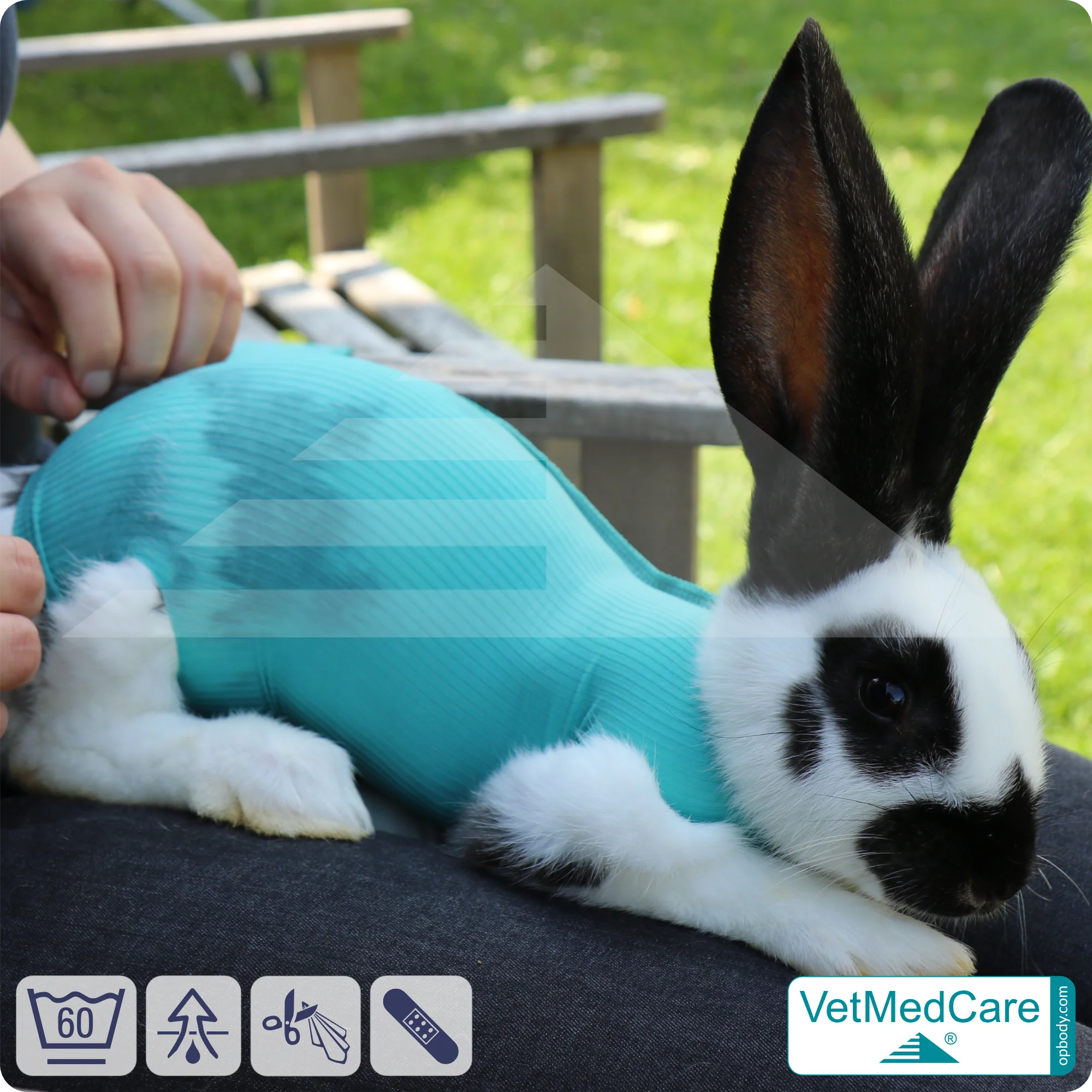 Bild von Safety Tubes DIY | wie Mullbinde, Verband und Pflaster in einem | Schutz Strümpfe für Haustiere wie Hamster, Hase und Kleintiere | VetMedCare® Grün-Blau / Türkis S