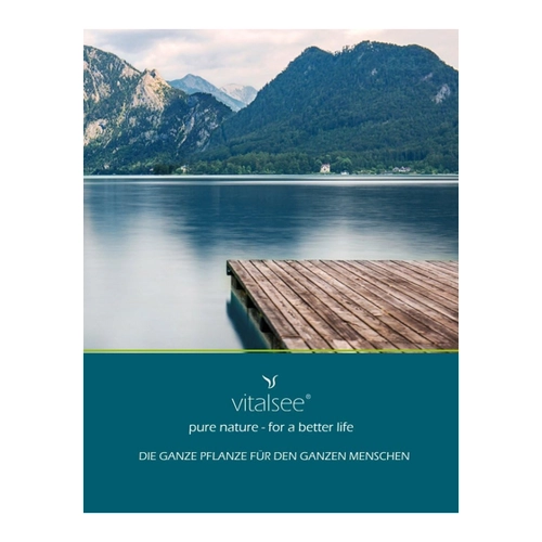 Bild von Vitalsee Teufelskralle 333 - 90 vegane Kapseln