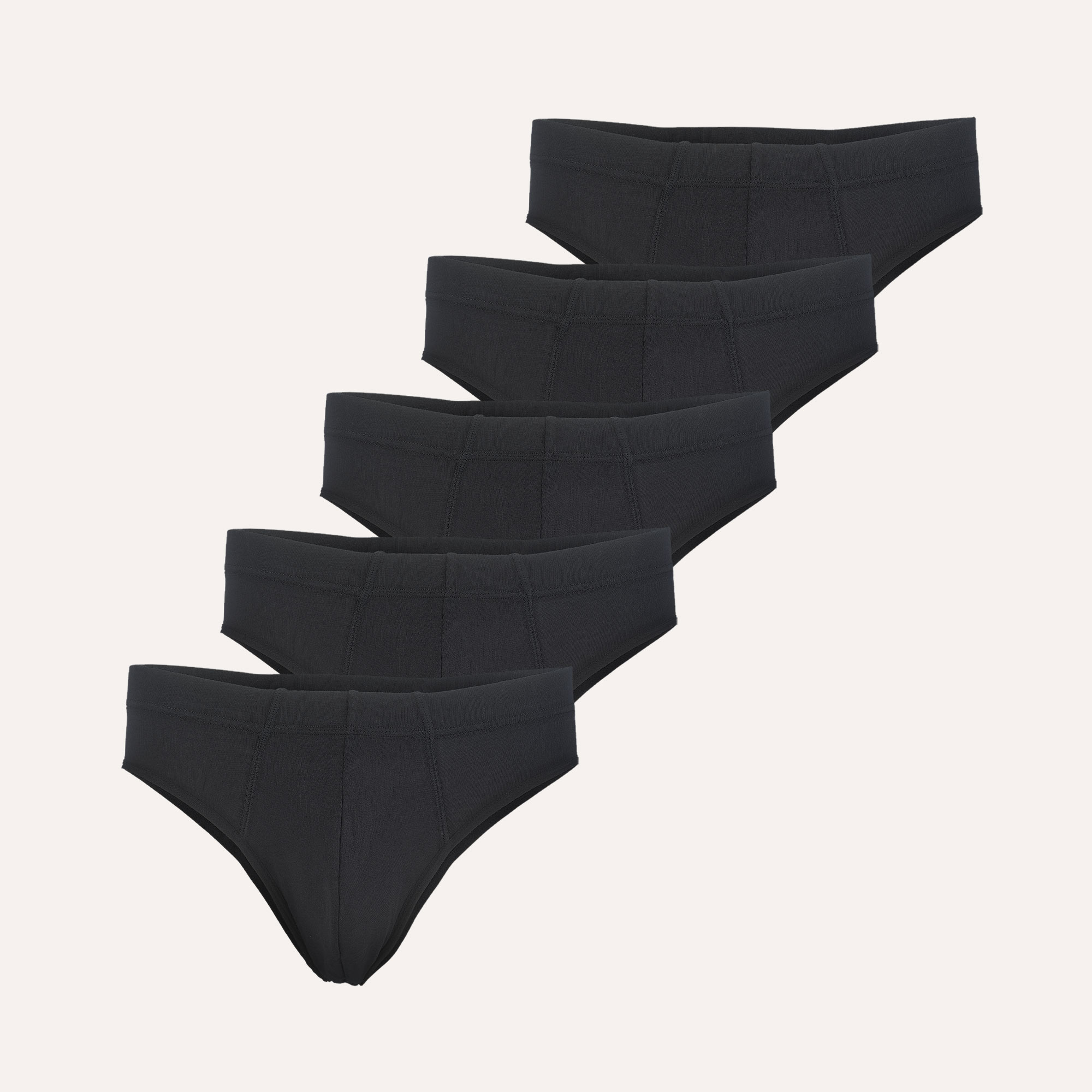 Bild von Blasenschwäche Unterwäsche Slip (4 + 1 gratis)