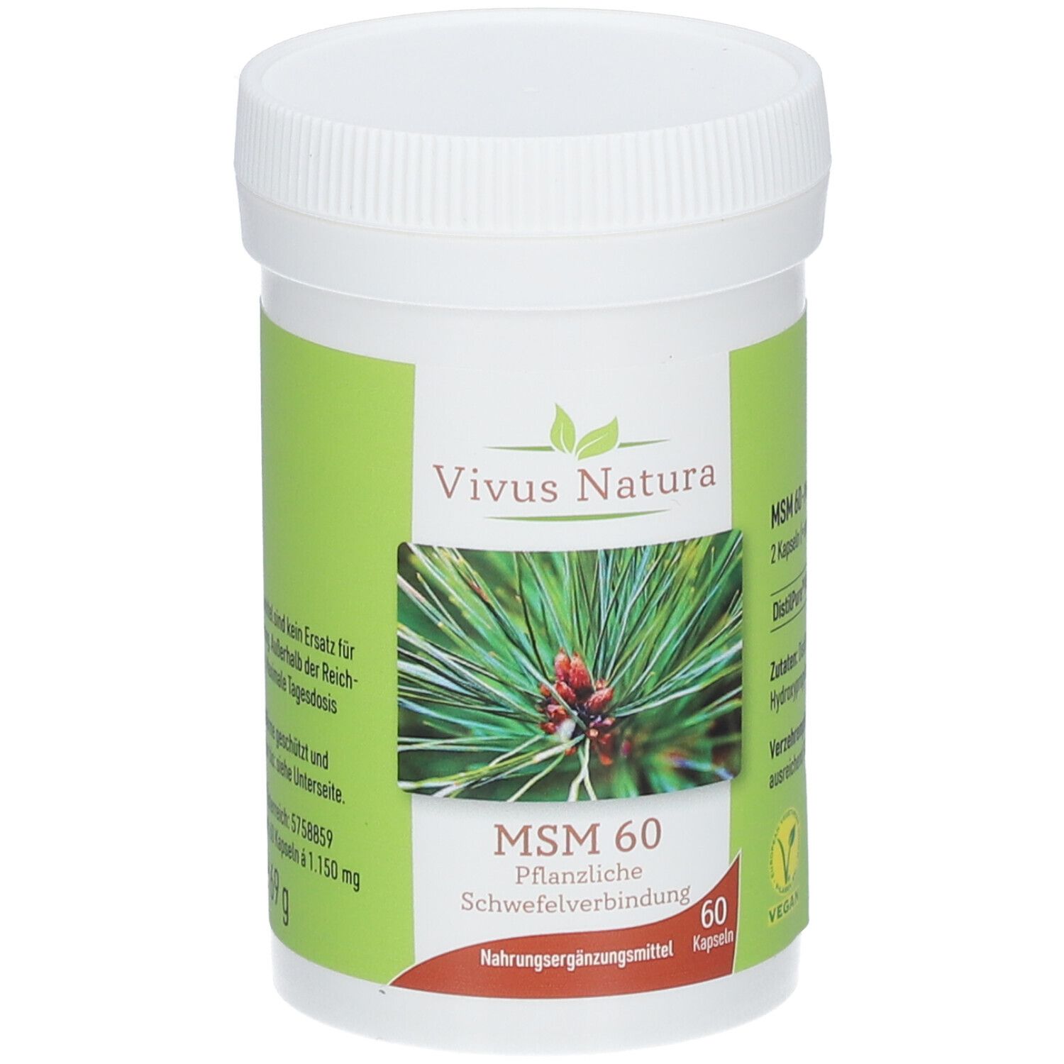 Bild von Vivus Natura MSM 60