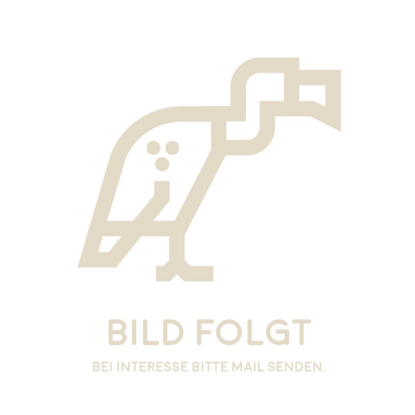 Bild von Mark Nolan - Eagle [Didgeridoo]