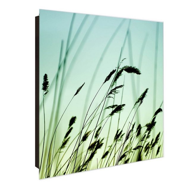 Bild von Banjado Großer Schlüsselkasten Glas 30x30cm Schwarz Scharnier Links 50 Haken Beschreibbar Magnetisch Motiv Gräser