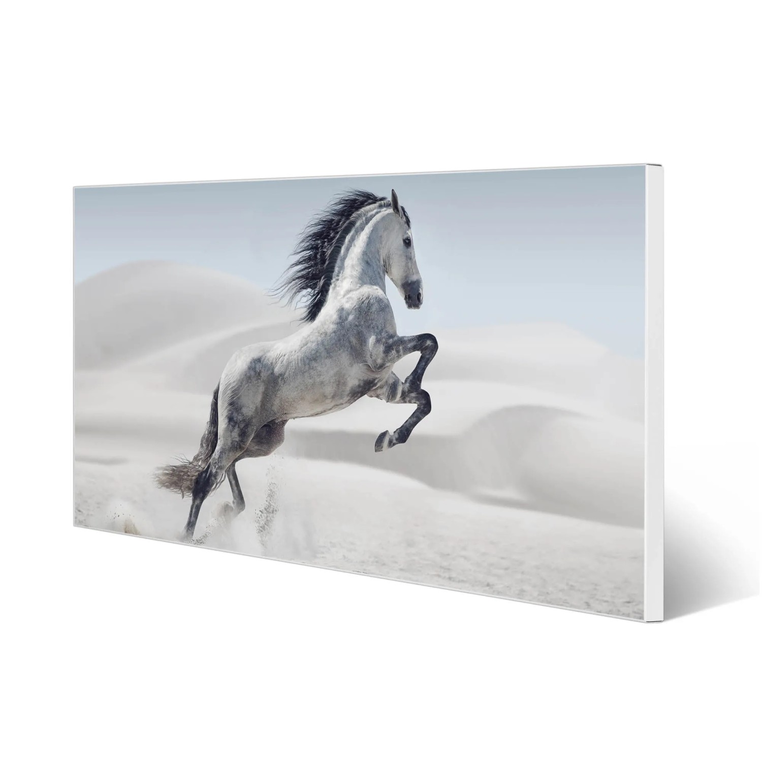 Bild von Banjado Magnettafel 78x37cm Magnetwand  Weiß Aus Metall Magnetpinnwand Pinnwand Inkl. 4 Magnete Motiv Wildes Pferd