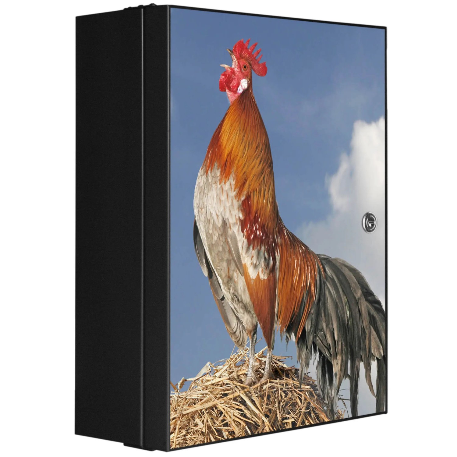 Bild von Banjado XXL Medizinschrank Abschliessbar 35x46x15cm Arzneischrank Anthrazit Aus Metall Front Mit Motiv Hahn