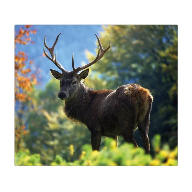 Bild von banjado Herd-Abdeckplatte Glas Hirsch, (gehärtet, 1 tlg., inkl. selbstklebende Gummifüßchen)