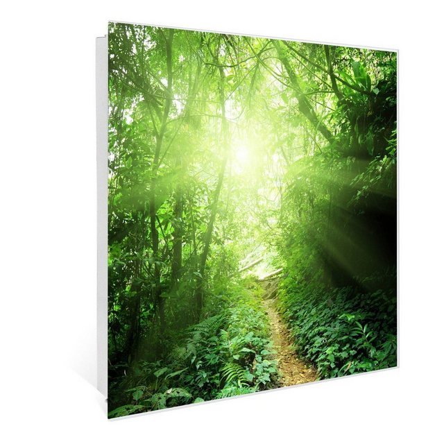 Bild von Banjado Großer Schlüsselkasten Glas 30x30cm Weiß Scharnier Rechts 50 Haken Beschreibbar Magnetisch Motiv Dschungel Malaysia