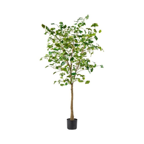 Bild von Kunstpflanze Kunststoff Baum Gingko im Topf – Elegante Raumdekoration