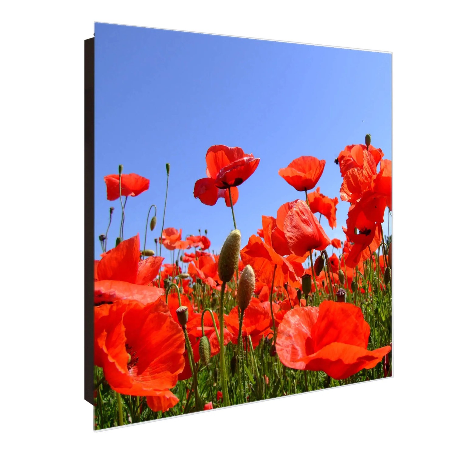 Bild von Banjado Großer Schlüsselkasten Glas 30x30cm Schwarz Scharnier Links 50 Haken Beschreibbar Magnetisch Motiv Mohnblumen