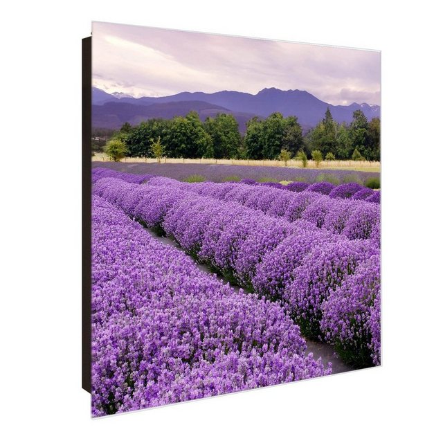 Bild von Banjado Großer Schlüsselkasten Glas 30x30cm Schwarz Scharnier Links 50 Haken Beschreibbar Magnetisch Motiv Lavendel 1