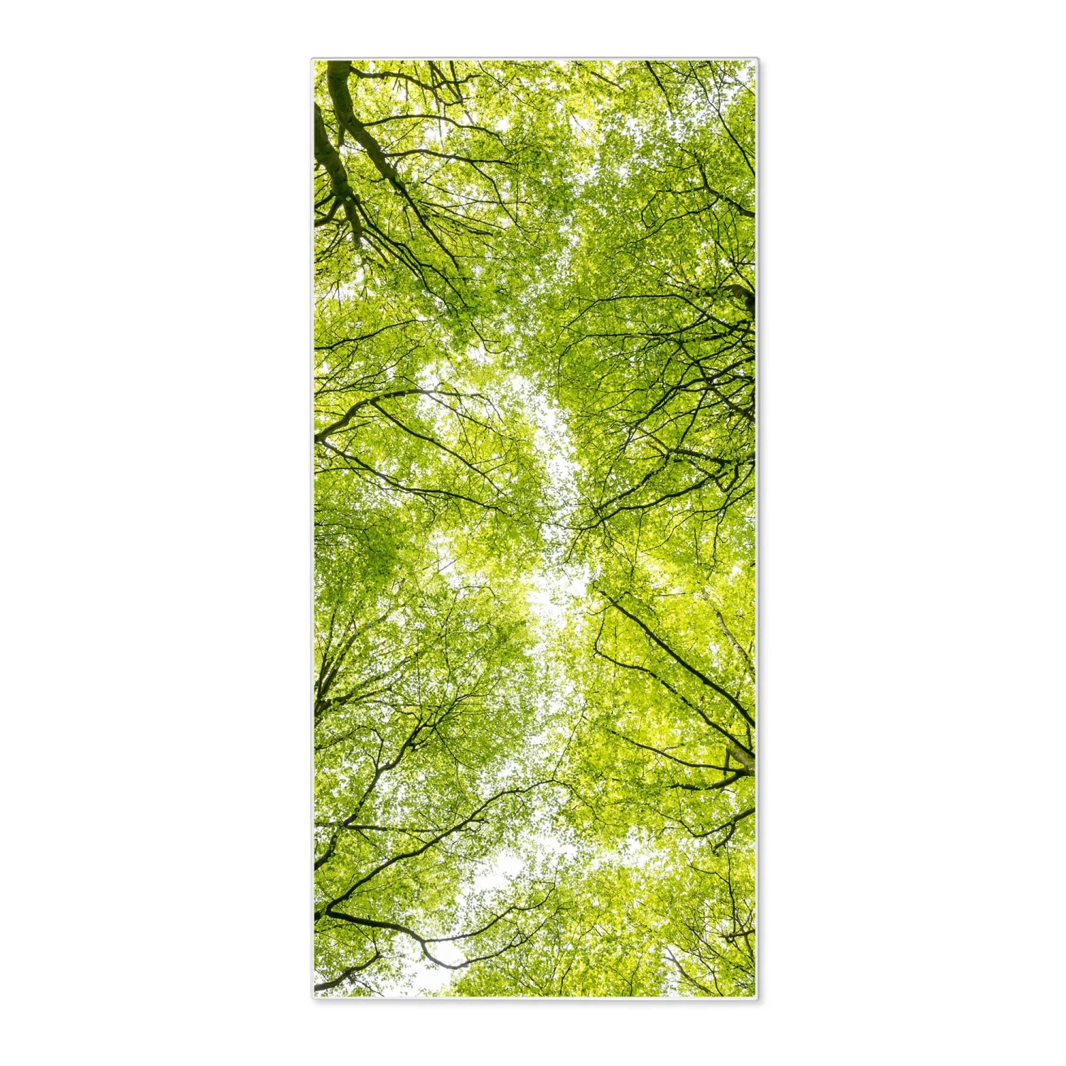 Bild von Banjado Magnettafel 37x78cm Magnetwand  Weiß Aus Metall Magnetpinnwand Pinnwand Inkl. 4 Magnete Motiv Zwischen Bäumen