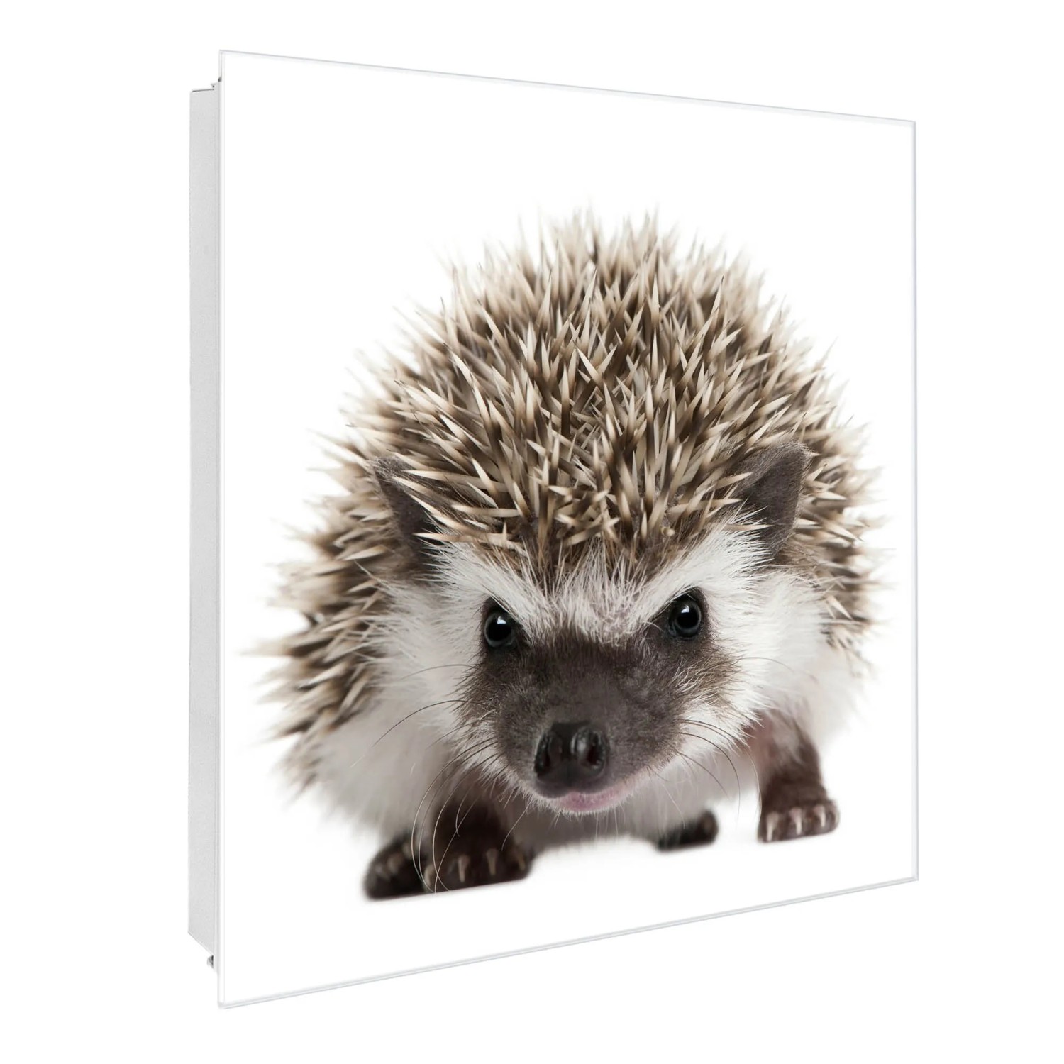 Bild von Banjado Großer Schlüsselkasten Glas 30x30cm Weiß Scharnier Links 50 Haken Beschreibbar Magnetisch Motiv Igel