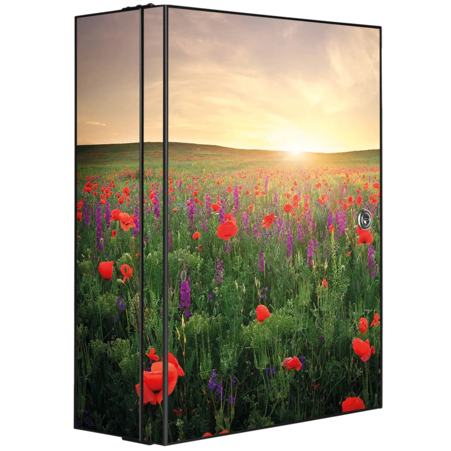 Bild von Banjado XXL Medizinschrank Abschliessbar 35x46x15cm Arzneischrank Anthrazit Aus Metall Mit Motiv Sommerfeld