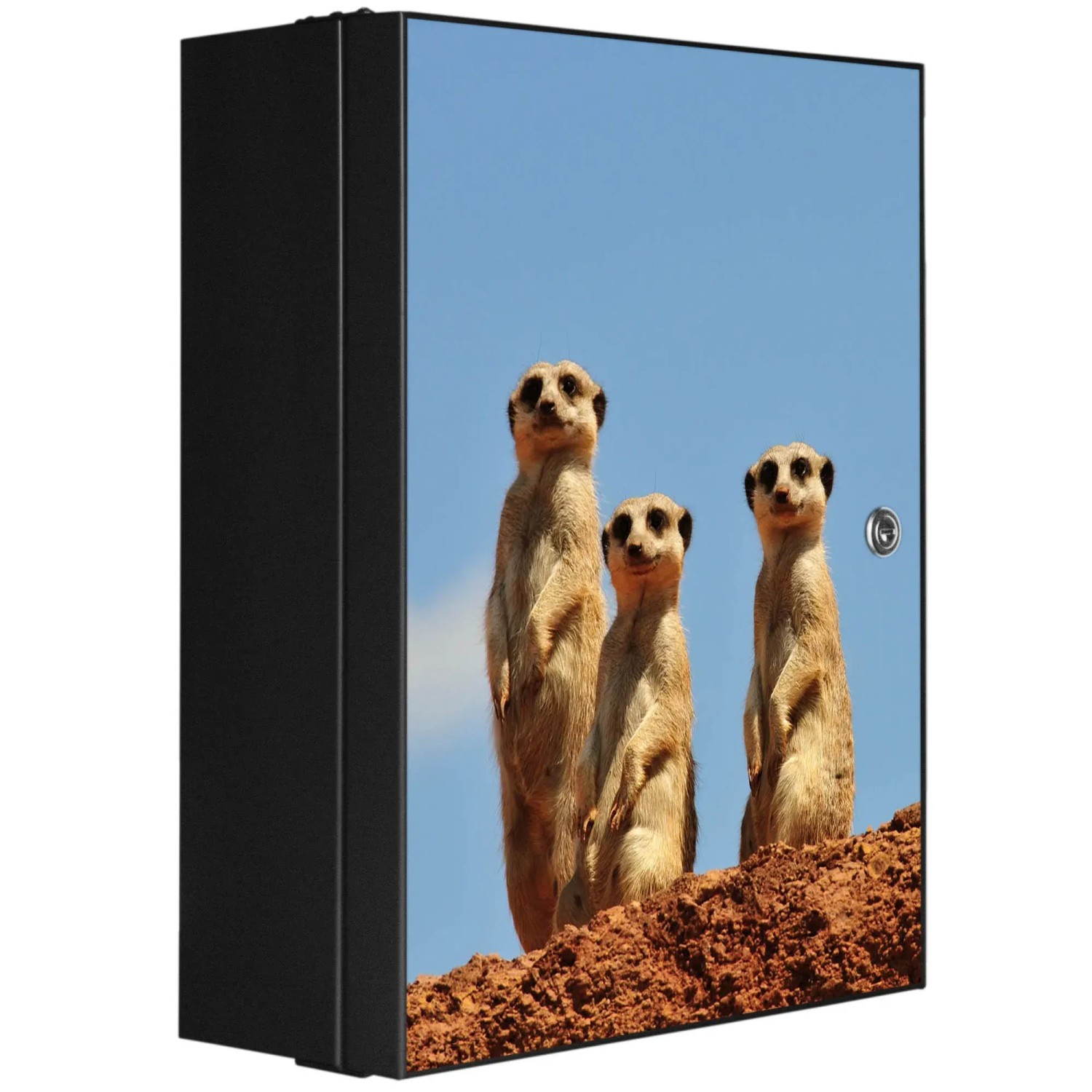 Bild von Banjado XXL Medizinschrank Abschliessbar 35x46x15cm Arzneischrank Anthrazit Aus Metall Front Mit Motiv Erdmännchenfamilie