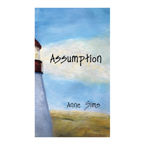 Bild von Sims, Anne: Assumption - Ein umfassender Überblick