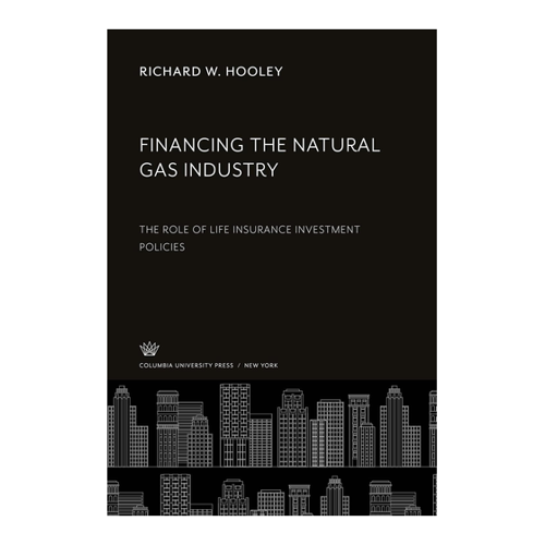 Bild von Financing the Natural Gas Industry: Die Kapitalbeschaffung im Fokus