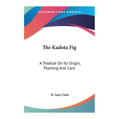 Bild von The Kadota Fig: Ein Einblick in Herkunft, Anbau und Pflege