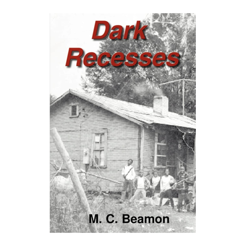 Bild von Dark Recesses – Ein packender Debütroman