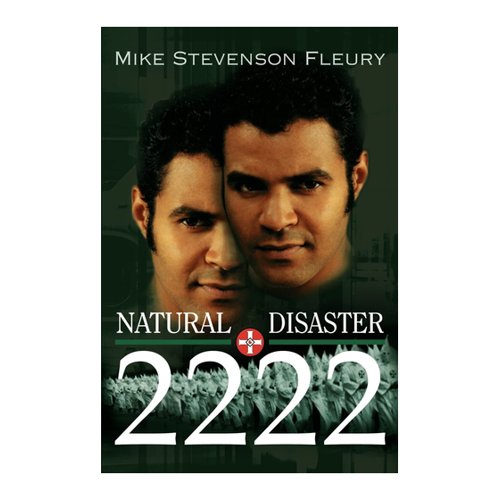 Bild von Natural Disaster 2222 von Mike Stevenson: Eine umfassende Bewertung