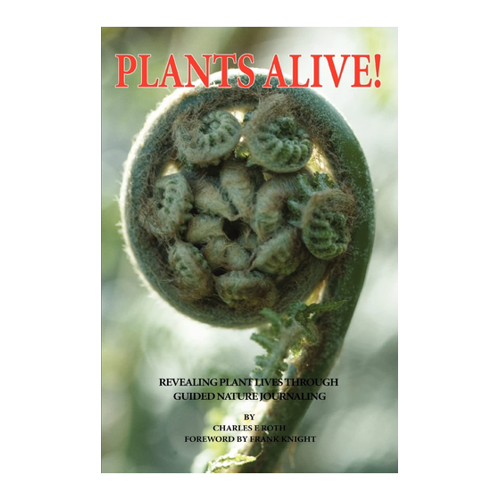 Bild von Plants Alive!: Enthüllung des Pflanzenlebens durch geführtes Naturjournaling