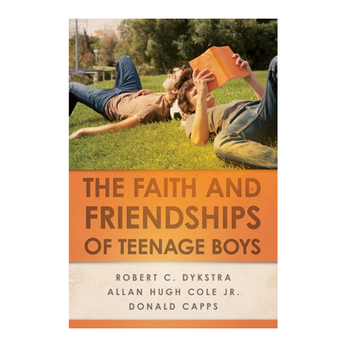 Bild von The Faith and Friendships of Teenage Boys