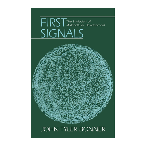 Bild von First Signals: Die Evolution der mehrzelligen Entwicklung