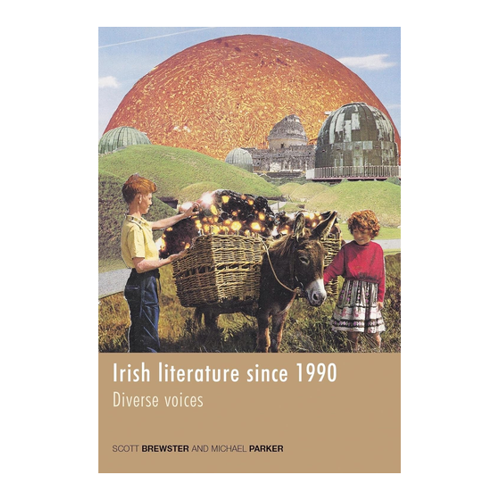 Bild von Irish Literature Since 1990: Diverse Voices