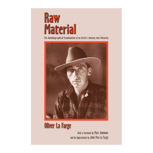 Bild von Raw Material: Die autobiografische Reise eines Künstlers